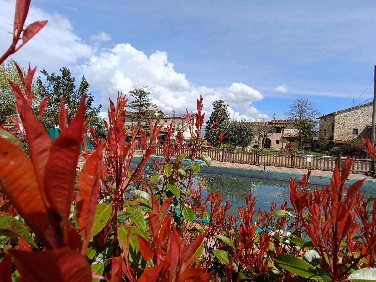 Podere Casenove Citerna ภายนอก รูปภาพ