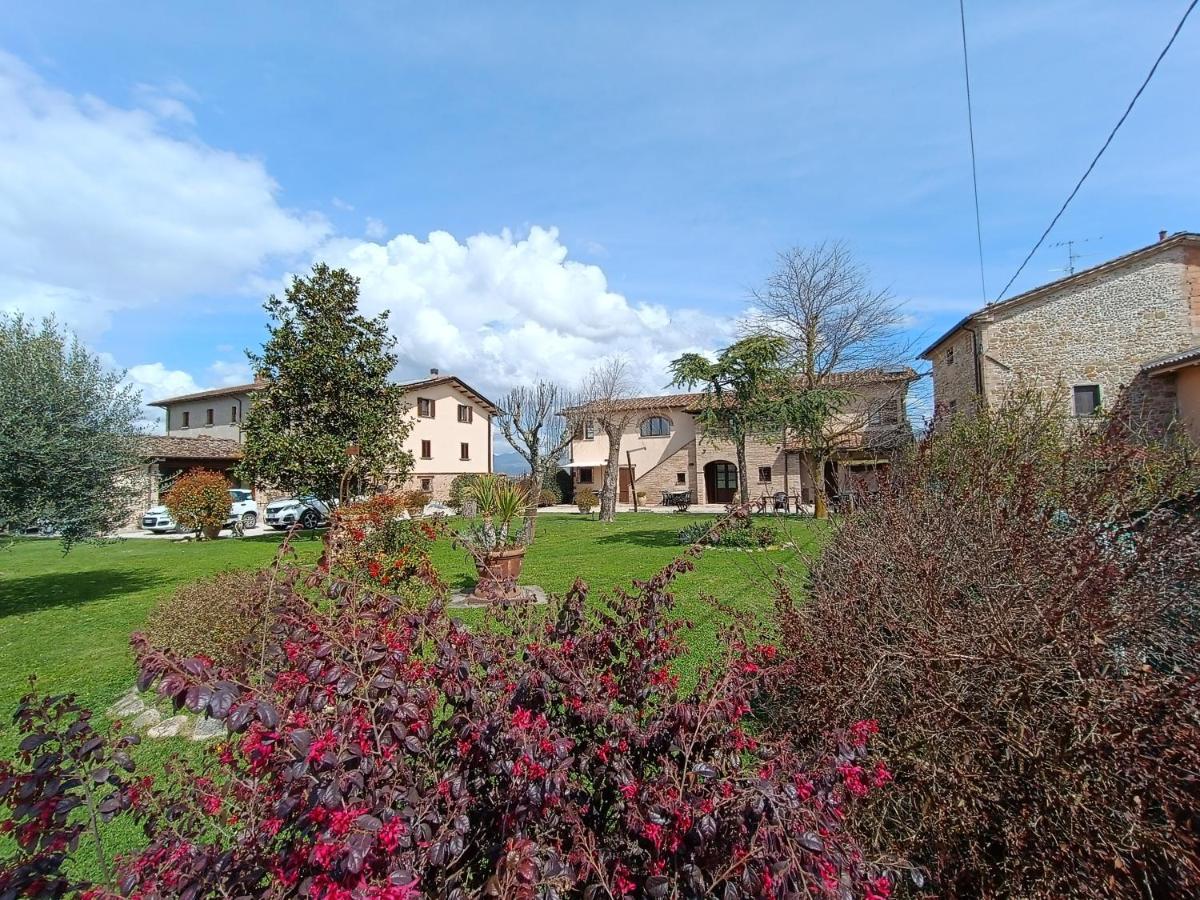 Podere Casenove Citerna ภายนอก รูปภาพ