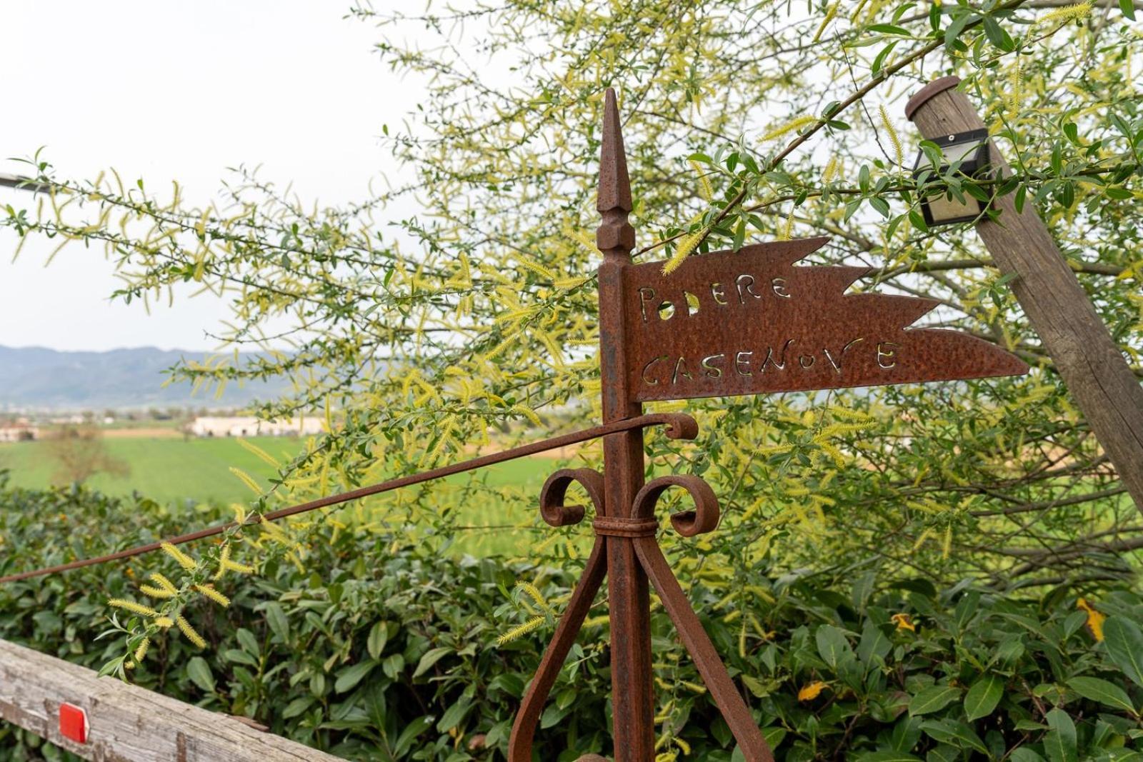 Podere Casenove Citerna ภายนอก รูปภาพ